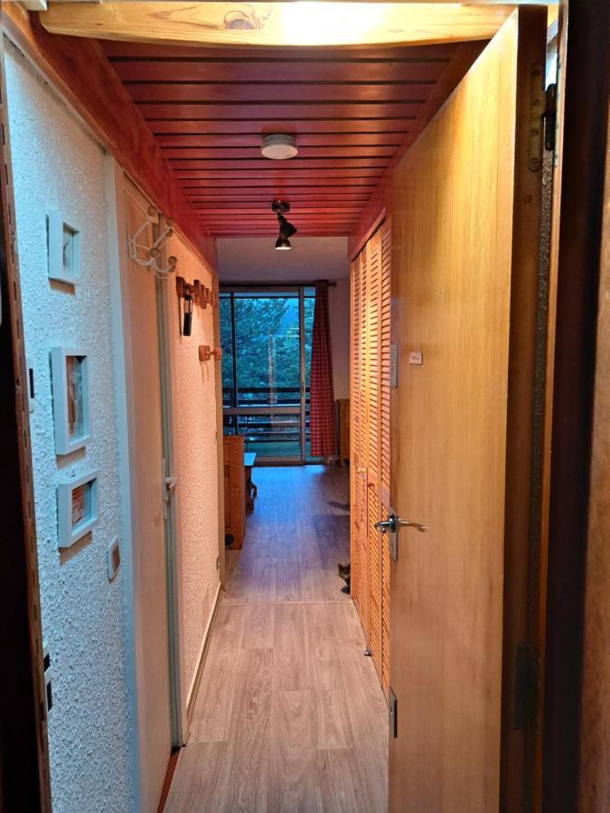 Appartement Montagnard Serre-Chevalier. Saint-Chaffrey Ngoại thất bức ảnh
